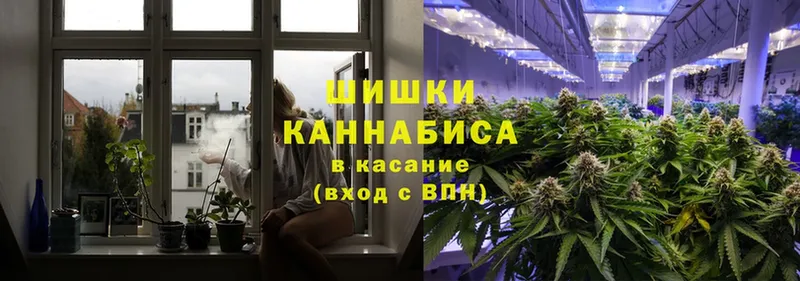 Шишки марихуана SATIVA & INDICA  Северобайкальск 